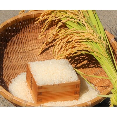 【2020年4月発送】お米食べ比べセット 精米10kg(5kg×2袋)