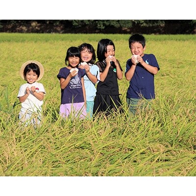 【令和6年産】ヒノヒカリ　精米8kg(4kg×2袋)