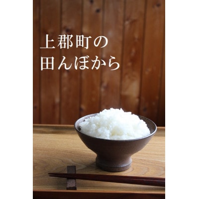 【令和6年産】ヒノヒカリ 精米10kg(5kg×2袋)