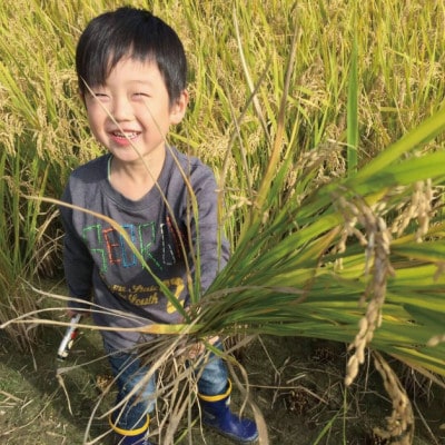 【令和6年産】ぴかまる　精米10kg(5kg×2袋)