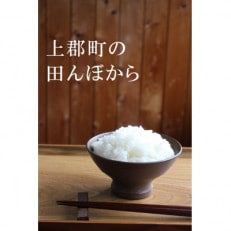 【令和4年産】ぴかまる　精米8kg(4kg×2袋)