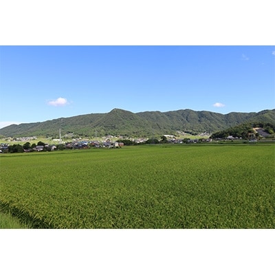 【令和6年産】上郡町休治産ヒノヒカリ精米10kg