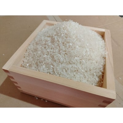 【栽培期間中農薬不使用】『タガメの里自然米』2024年産「にこまる」白米5kg
