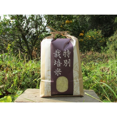【栽培期間中農薬不使用】『タガメの里自然米』2025年産「にこまる」白米5kg