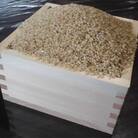 【栽培期間中農薬不使用】『タガメの里・自然米』2025年産「にこまる」玄米10kg