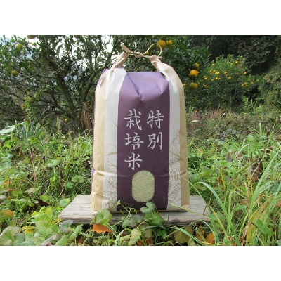 【栽培期間中農薬不使用】2024年兵庫県産もち米「はりまもち」白米10kg