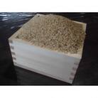 【栽培期間中農薬不使用】『タガメの里自然米』2025年産「ぴかまる」玄米5kg