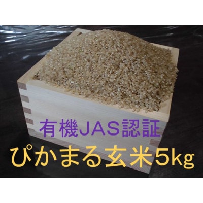 【有機JAS認証米】『タガメの里・自然米』2026年産「ぴかまる」玄米5kg