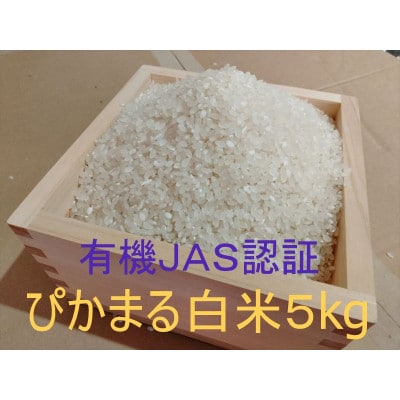 【有機JAS認証】『タガメの里・自然米』2026年産「ぴかまる」白米5kg