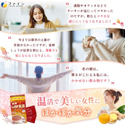 【ファイン】金時しょうが紅茶×3個(180杯分)