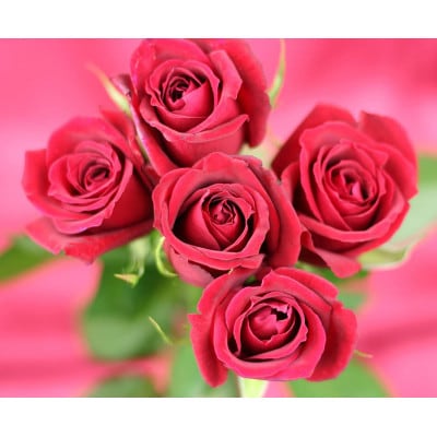 【ファイン】エチケットローズ 42カプセル入 2個セット