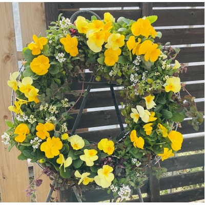 季節のお花の寄せ植えリース35センチ