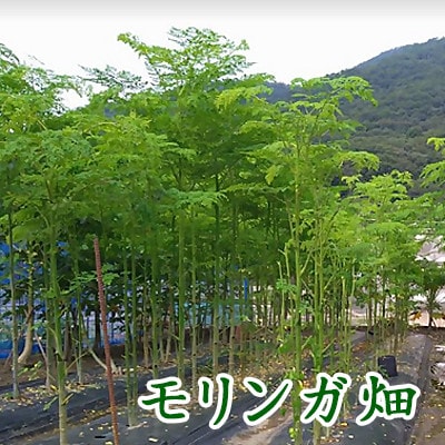 上郡の里フェイスクリーム