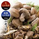 玉兎(生しいたけ)500g×1、(乾燥椎茸ホール)40g×3