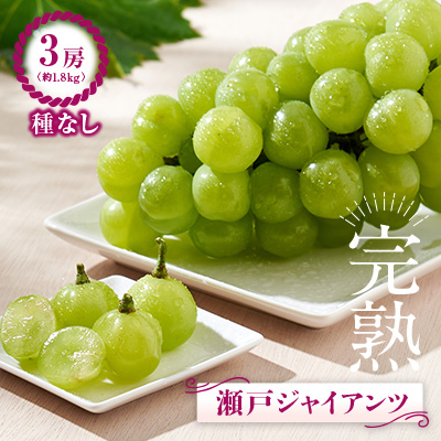 船坂ぶどう瀬戸ジャイアンツ3房(約1.8kg)