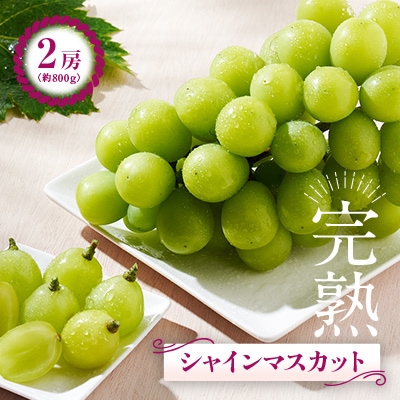 シャインマスカット2房(800g以上)