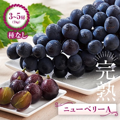 朝取りニューベリーA2kg(3～5房)
