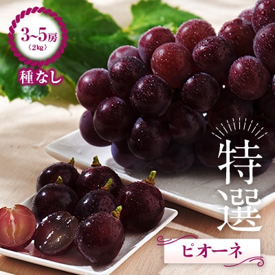 上郡町　船坂ぶどう　特選ピオーネ(種なし)2kg