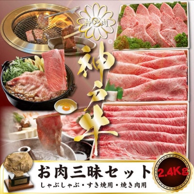 神戸牛 お肉三昧セットすき焼き・しゃぶしゃぶ・焼肉 計2400g KGSYS10