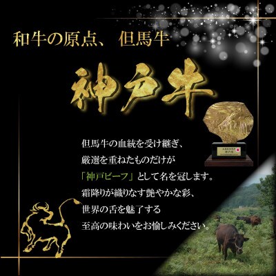 【神戸牛(神戸ビーフ)】焼肉用セット 計1Kg KGYS5 【2026年4月より順次発送】