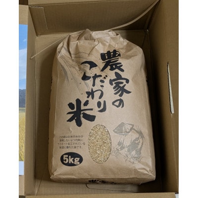 高田米『きぬむすめ』玄米5kg