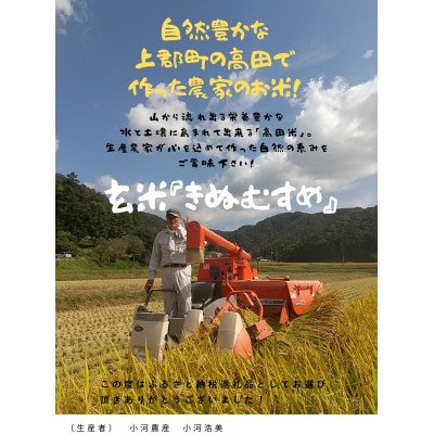 高田米『きぬむすめ』玄米5kg