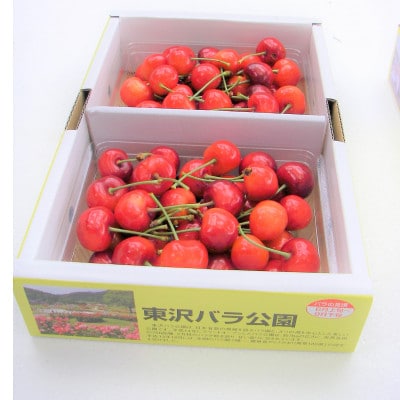 (秀品)山形のさくらんぼ佐藤錦L玉　約700g(約350g×2パック)