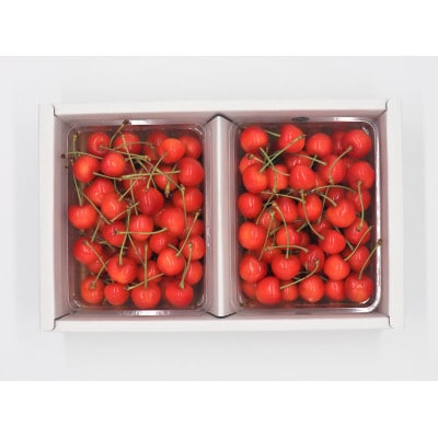 (秀品)山形のさくらんぼ紅秀峰L-2L玉　約1kg(約500g×2パック)