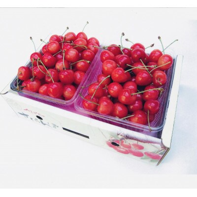 (秀)山形のさくらんぼ佐藤錦2L玉 約1kg(約500g×2P)
