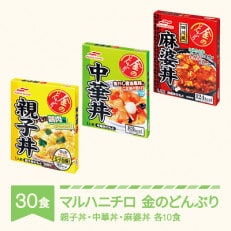 マルハニチロ 金のどんぶり おすすめセット 親子丼 中華丼 麻婆丼 レトルト 丼ぶり 30個