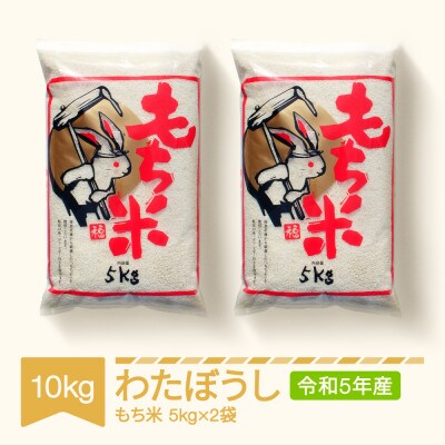 もち米 わたぼうし 10kg(5kg×2袋) 山形県村山市産