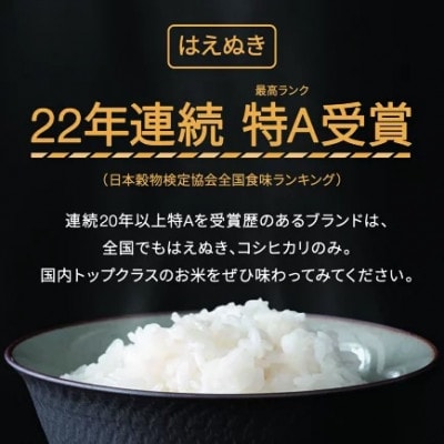 新米 令和8年産 はえぬき 精米10kg(5kg×2袋)