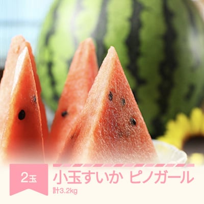 令和5年産　すいか　ピノガール　小玉2玉(計3.2kg)