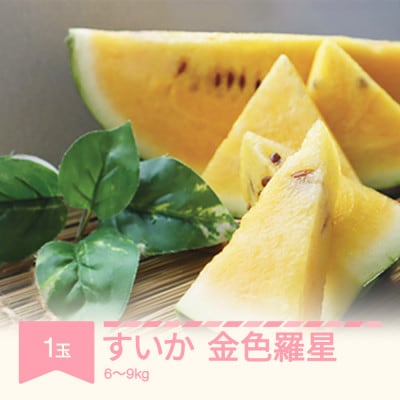 令和5年産　すいか　金色羅皇1玉6～9kg