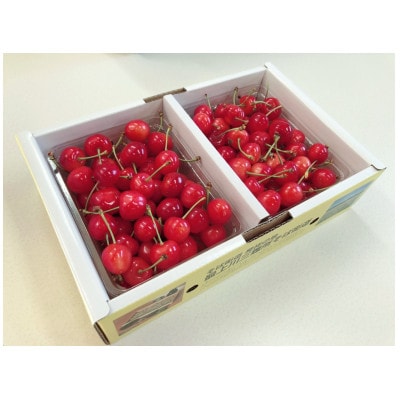 (秀)山形のさくらんぼ　佐藤錦L-2L玉　約1kg(約500g×2P)