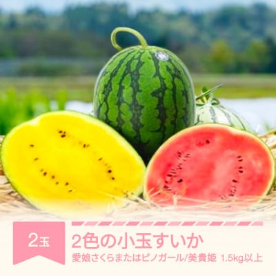 2色の小玉すいか