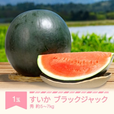ブラックジャック(中玉すいか)