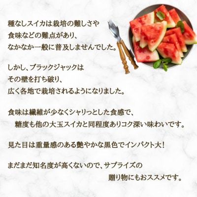 ブラックジャック(中玉すいか)