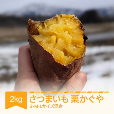 栗かぐや 2kg
