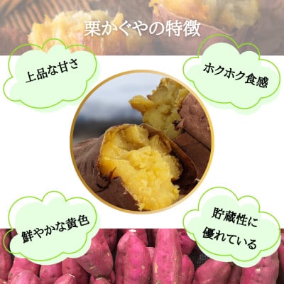 栗かぐや 2kg