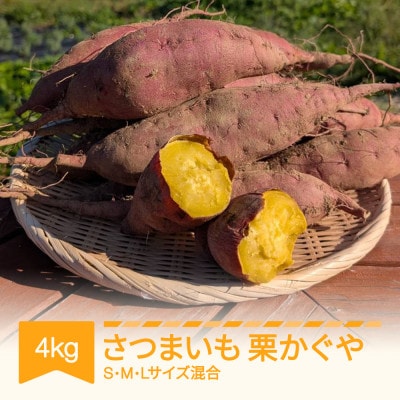 栗かぐや 4kg