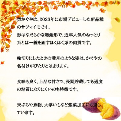 栗かぐや 4kg