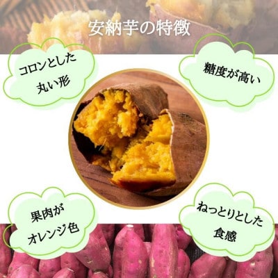 安納芋 4kg