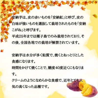 安納芋 4kg