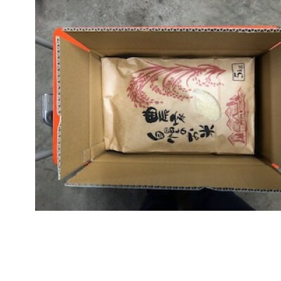 令和6年産はえぬき(一等米)精米5kg