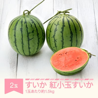 紅小玉すいか　2玉　計3kg(愛娘さくら または ピノガール)
