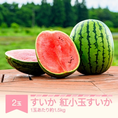 紅小玉すいか　2玉　計3kg(愛娘さくら または ピノガール)