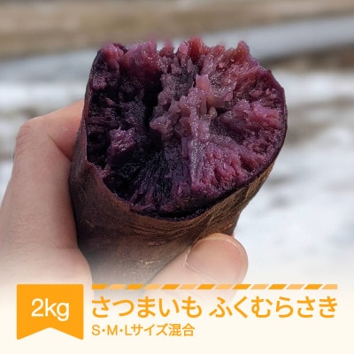 さつまいも ふくむらさき 紫芋 村山市産 約2kg 2025年産