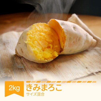 さつまいも きみまろこ 約2kg 山形県村山市産 2025年産