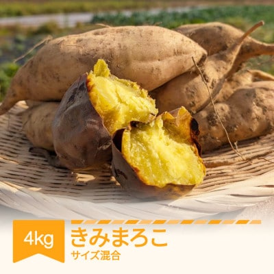 きみまろこ 4kg (土付き)